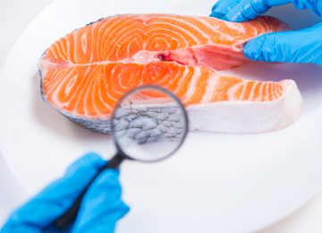 Research of fish in the laboratory on GMOs and harmful substances Research of fish in the laboratory on GMOs and harmful substances