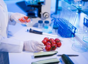 Female laboratory technician verify the quality of vegetables